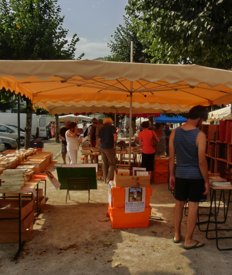 image du marché aux bouquins de 2012